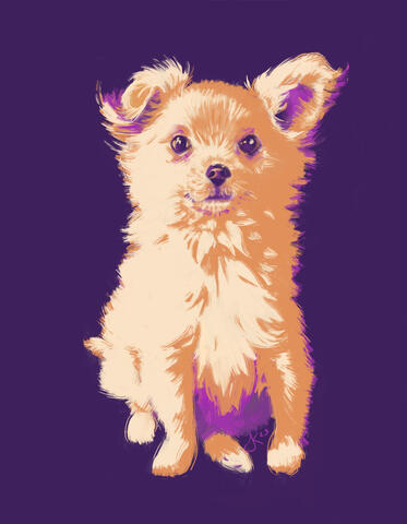 A 2-hour speedpainting